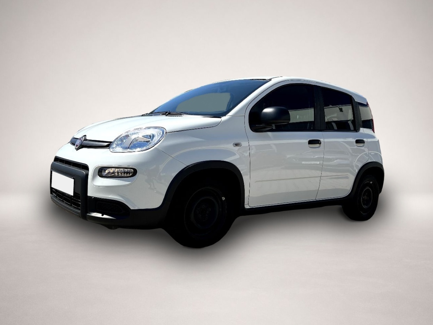 Bild Panda Fiat