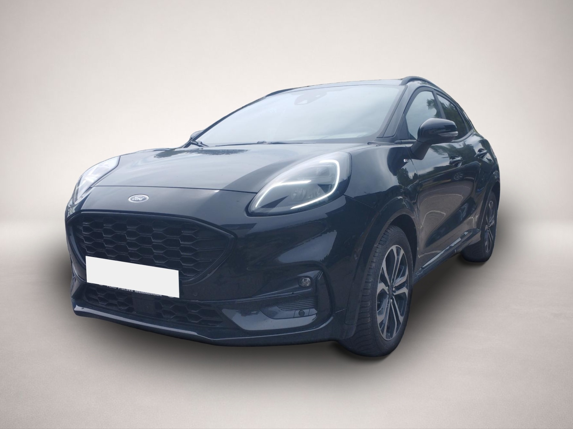Bild Puma Ford