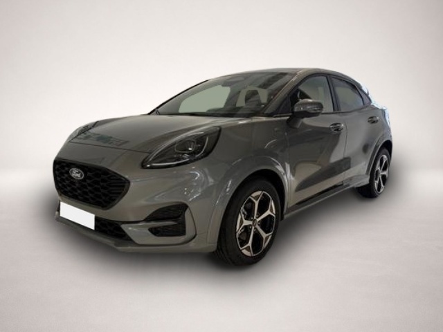 Bild Puma Ford