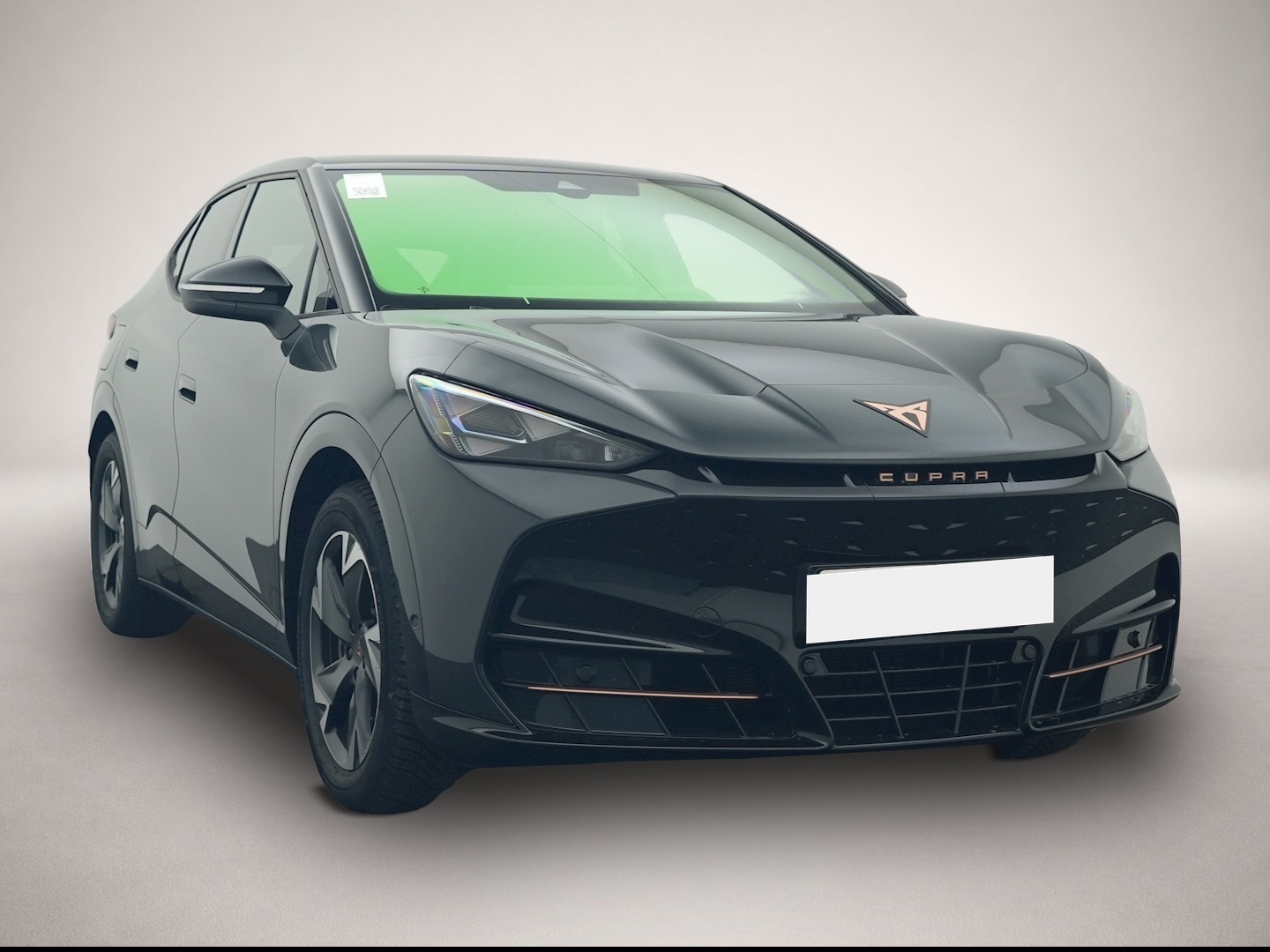 Bild 3 Cupra Tavascan Endurance RFK WÄPU eHECK NAVI