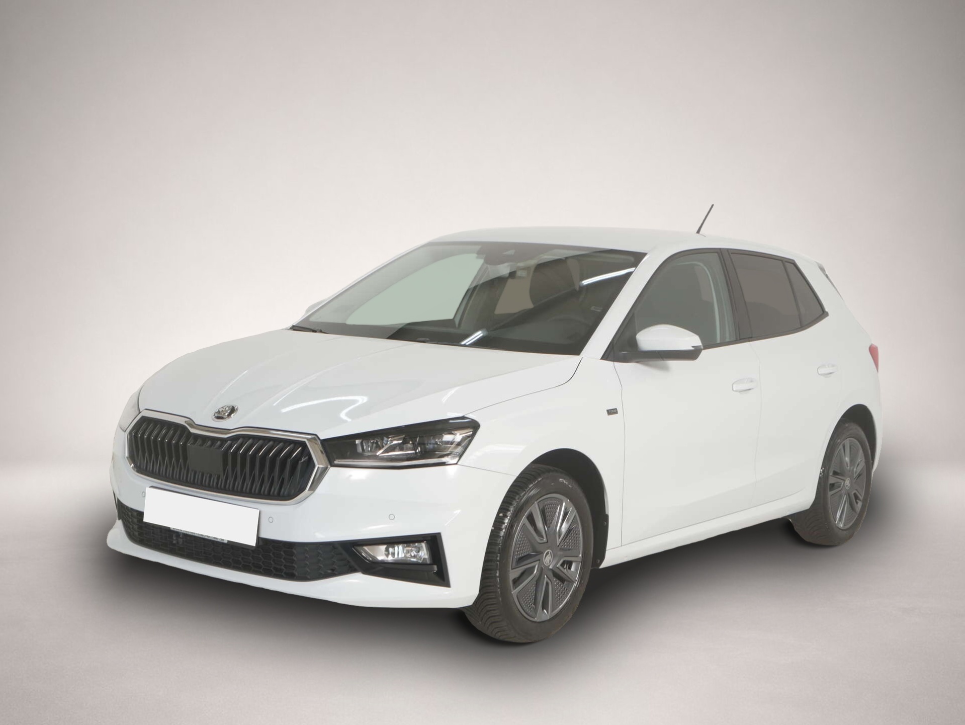 Fotografie 1 des Skoda Fabia 1.0 TSI Selection Tour