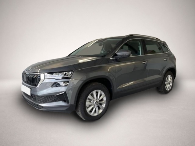 Bild Karoq Skoda