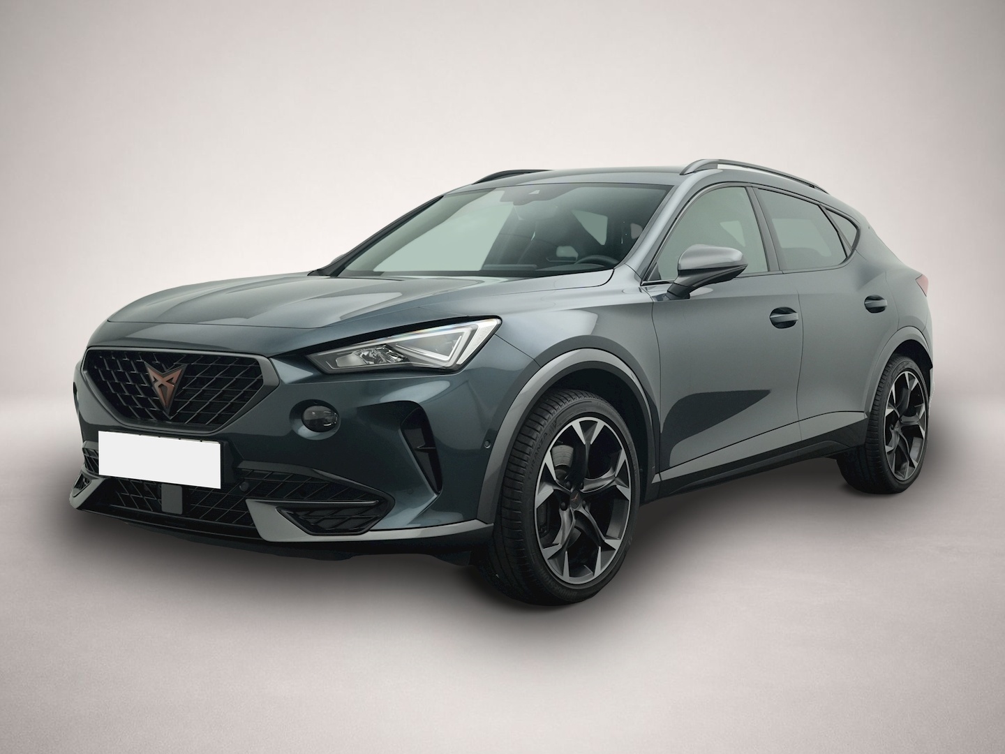 Fotografie Cupra Formentor 2.0 TSI DSG VZ NAVI KAMERA LED ACC
