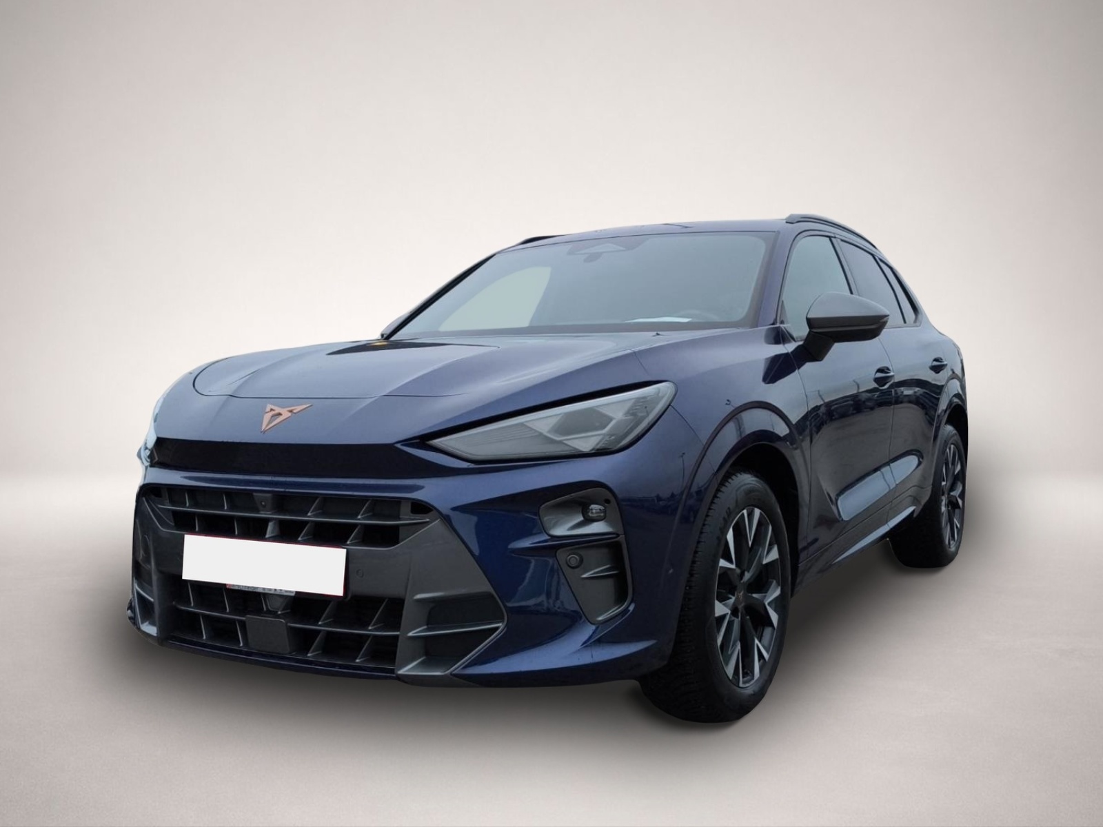 Bild 2 Cupra Terramar 1.5 eTSI DSG LED HUD NAVI ACC SIDEASS S