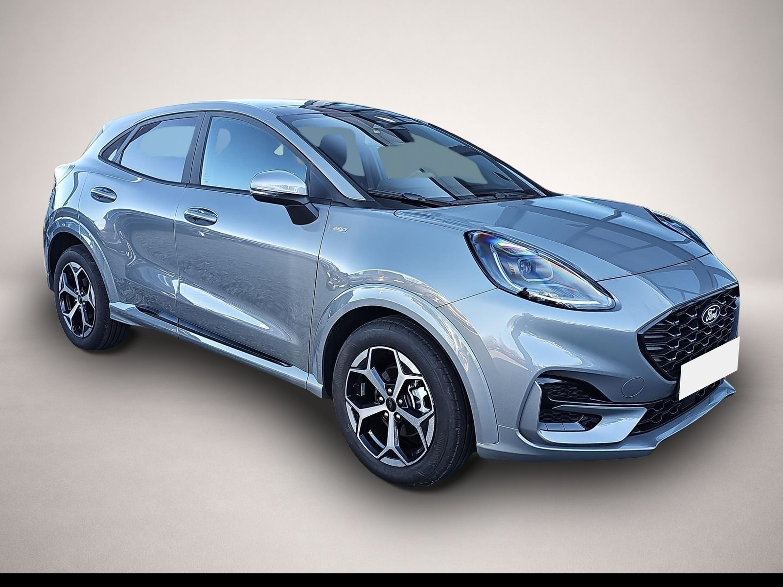 Bild Puma Ford