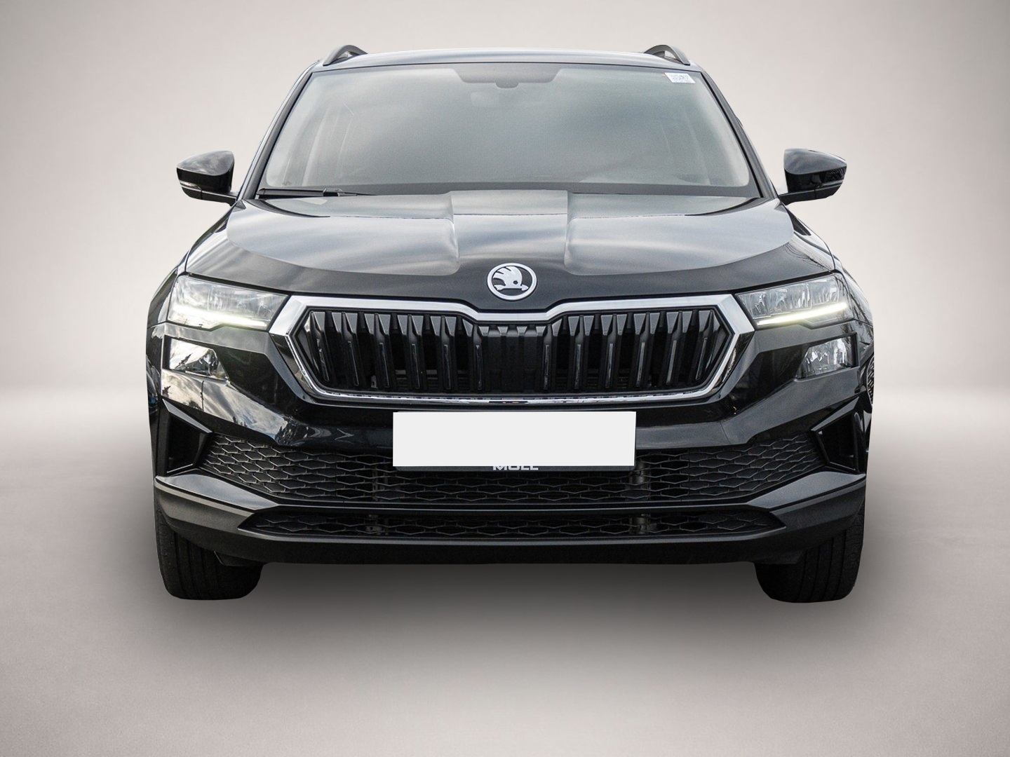 Bild 2 Skoda Karoq 1.5 TSI DSG Ambition
