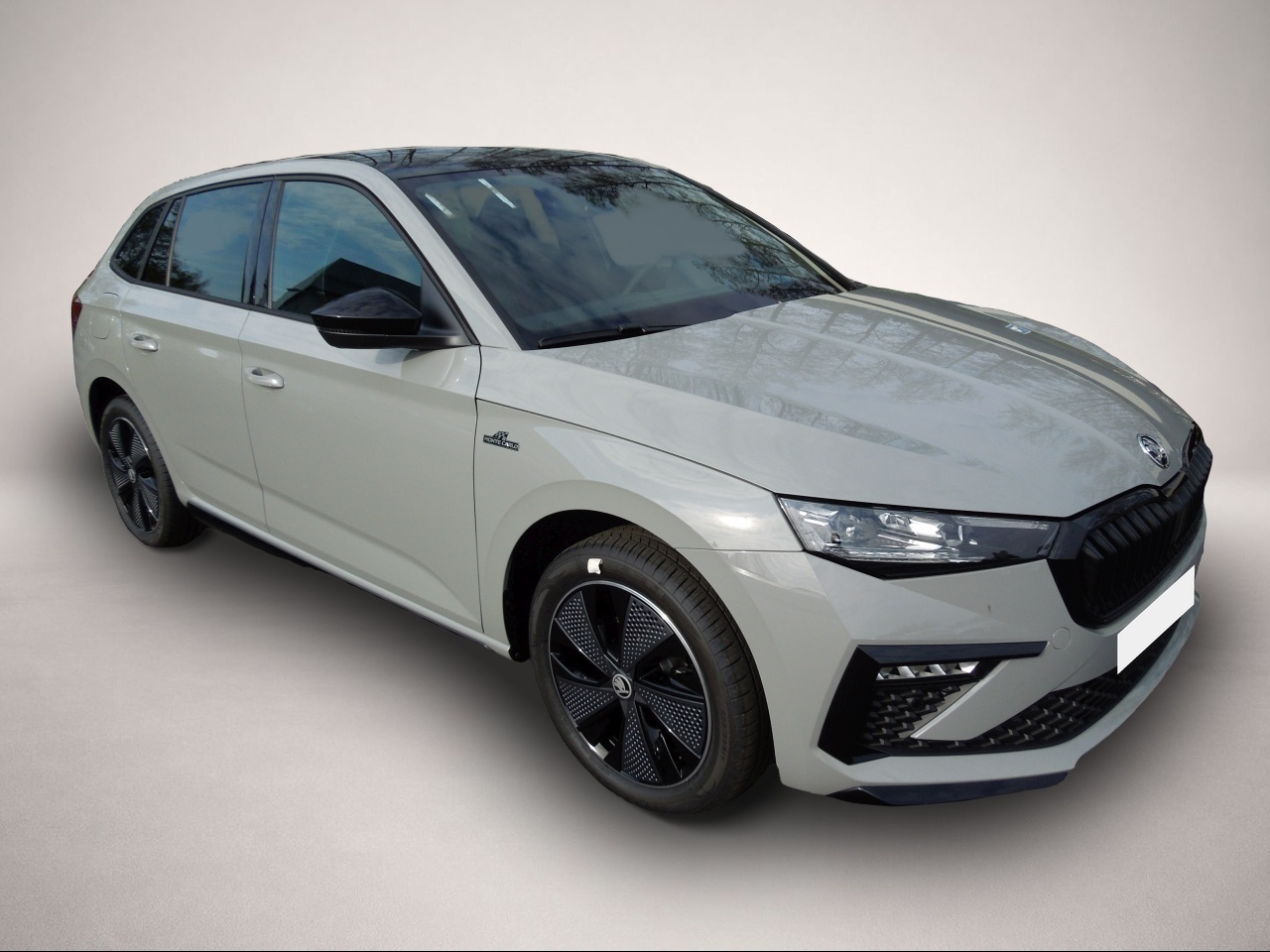 Fotografie Skoda Scala 1.0TSI Monte-Carlo/Matrix/Panoramadach/Sit