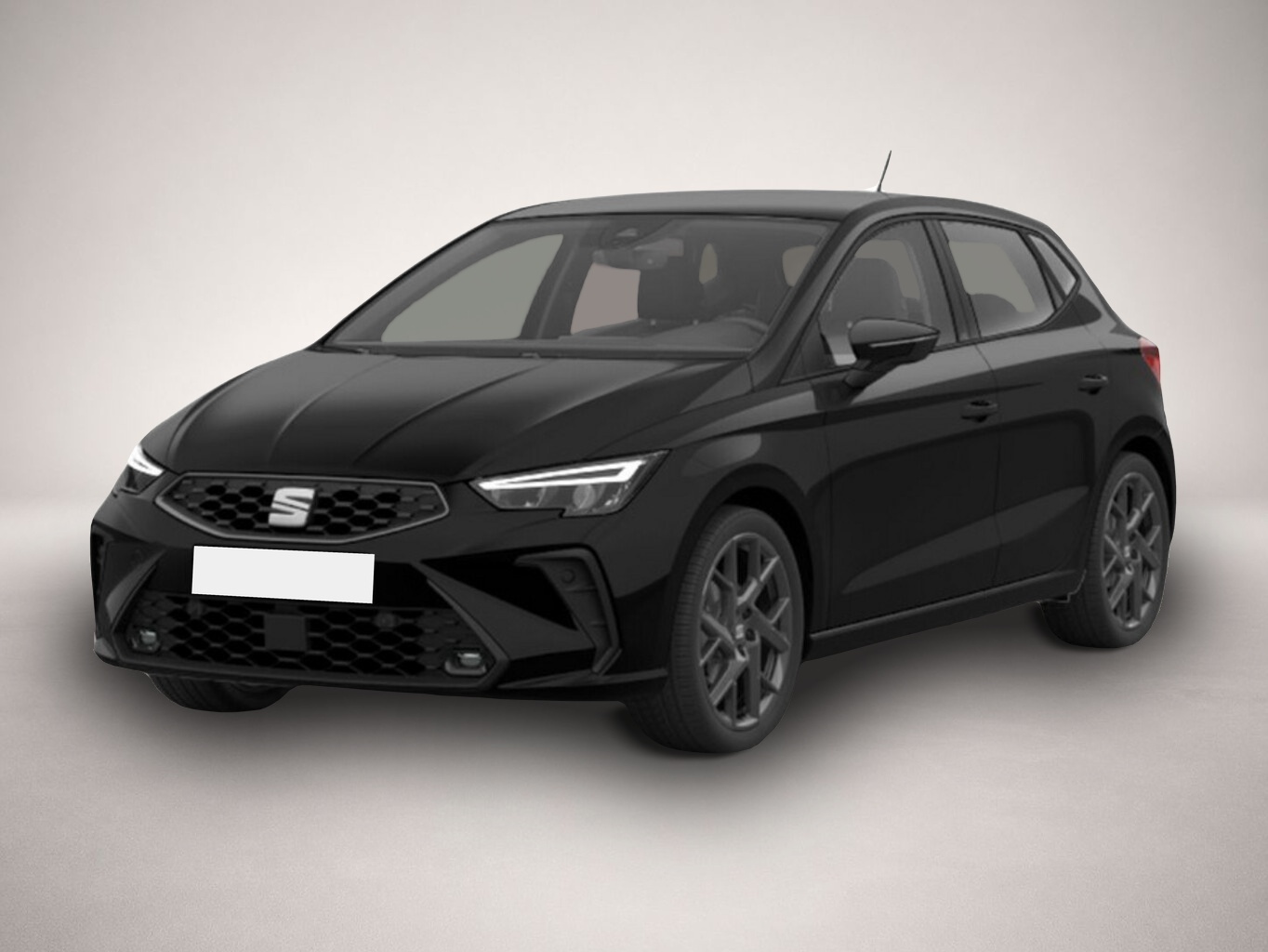 Ibiza Seat