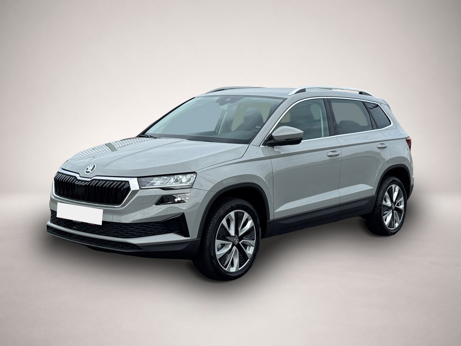 Bild 1 Skoda Karoq Selection TDI DSG|AHK|SHZ|ACC|PDC|