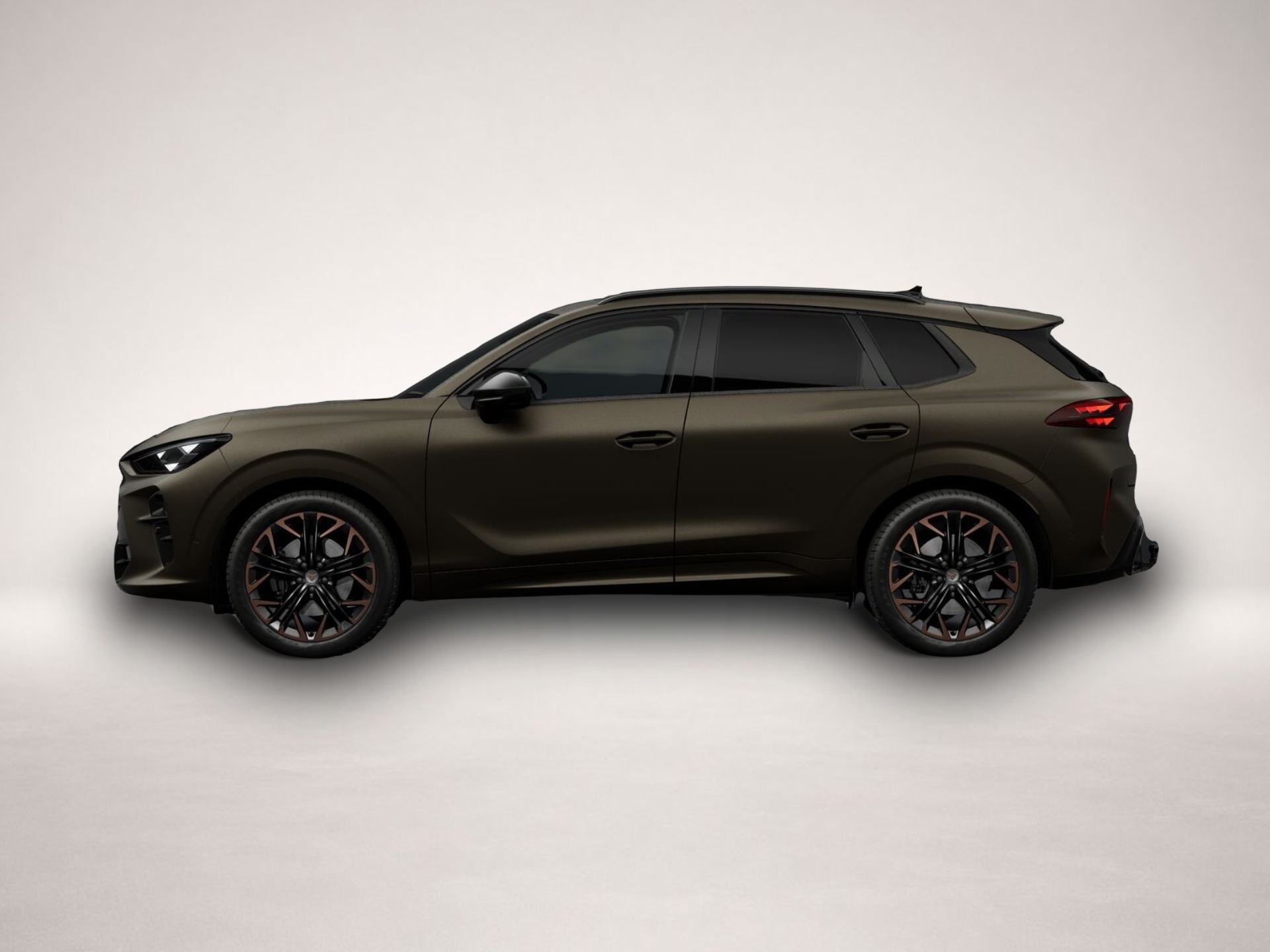 Bild 2 Cupra Terramar 2.0 TSI 7-Gang-DSG 4Drive