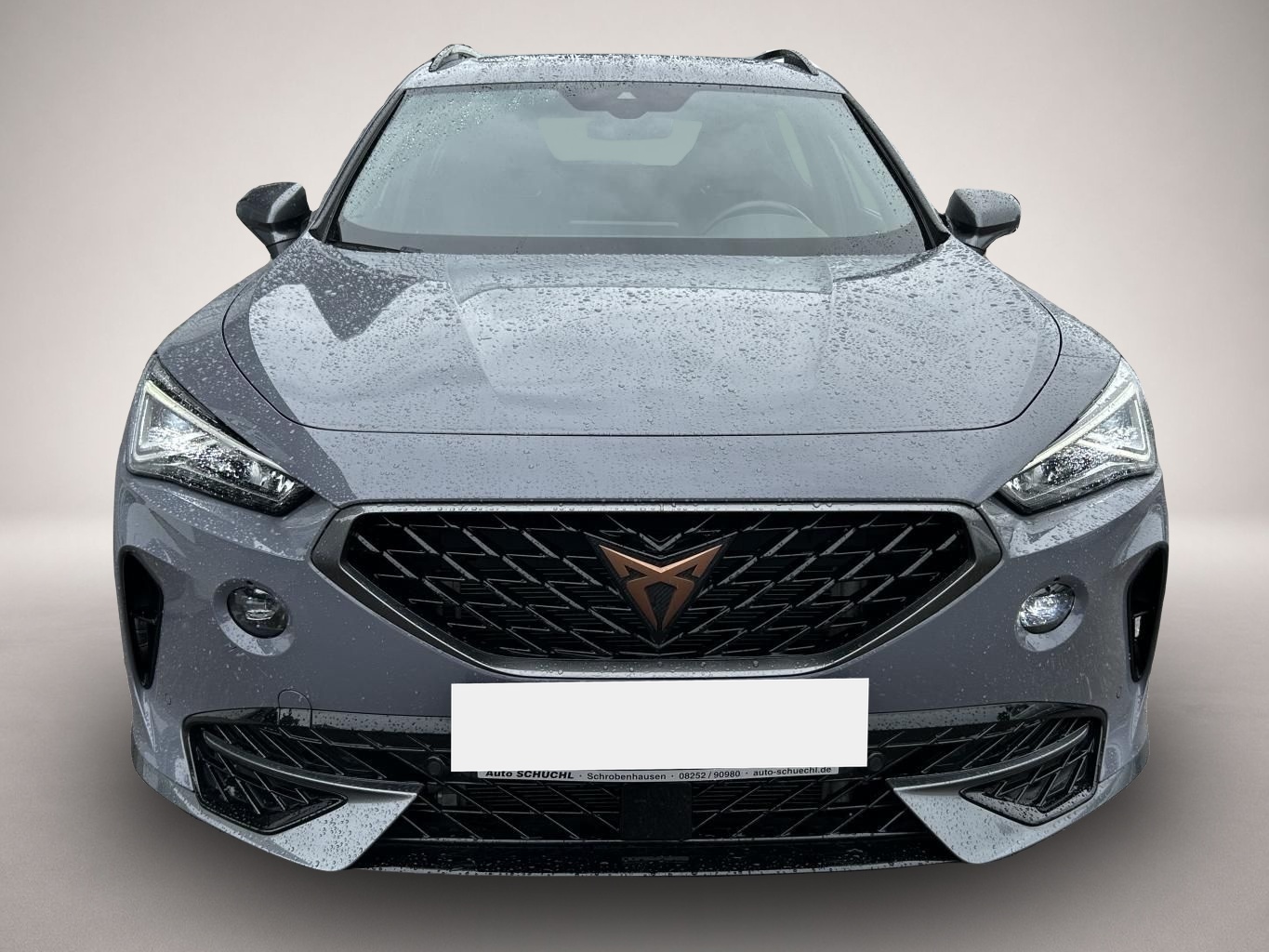 Fotografie des Cupra Formentor 2.0 TDI DSG 4-DRIVE PANORAMA+AHK+VIRTU