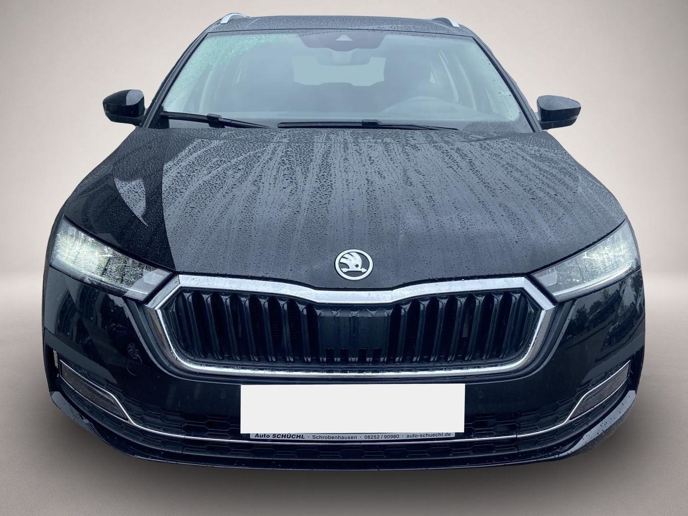Bild 7 Skoda Octavia Combi 2.0 TDI DSG Style PANORAMA+AHK+HEA