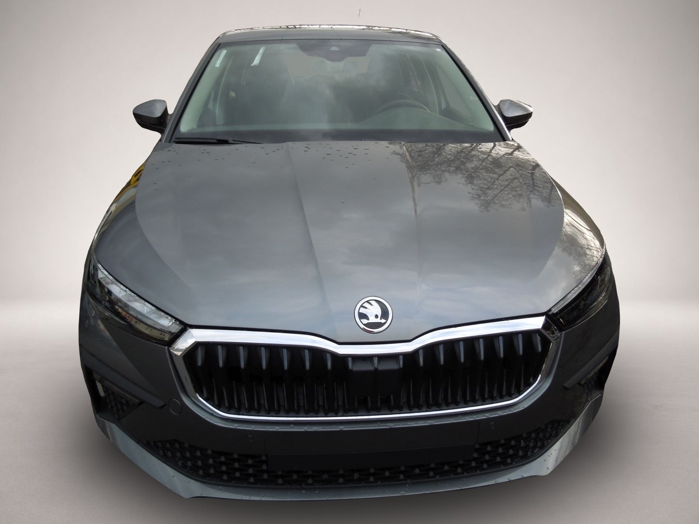 Fotografie 2 des Skoda Scala 1.5TSI Selection/Klimaautomatik/Sitzheizun
