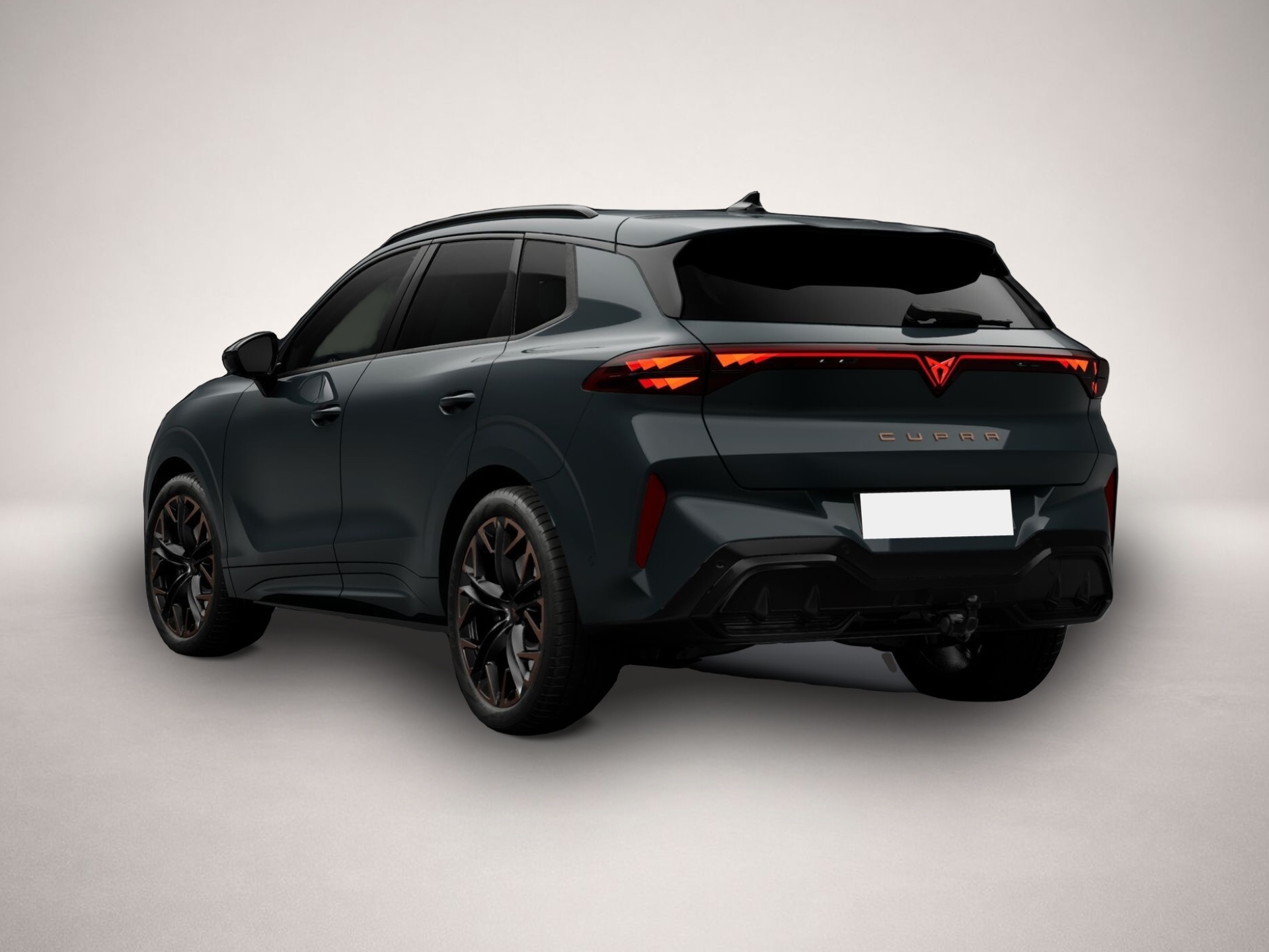 Bild 3 Cupra Terramar 2.0 TSI 7-Gang-DSG 4Drive
