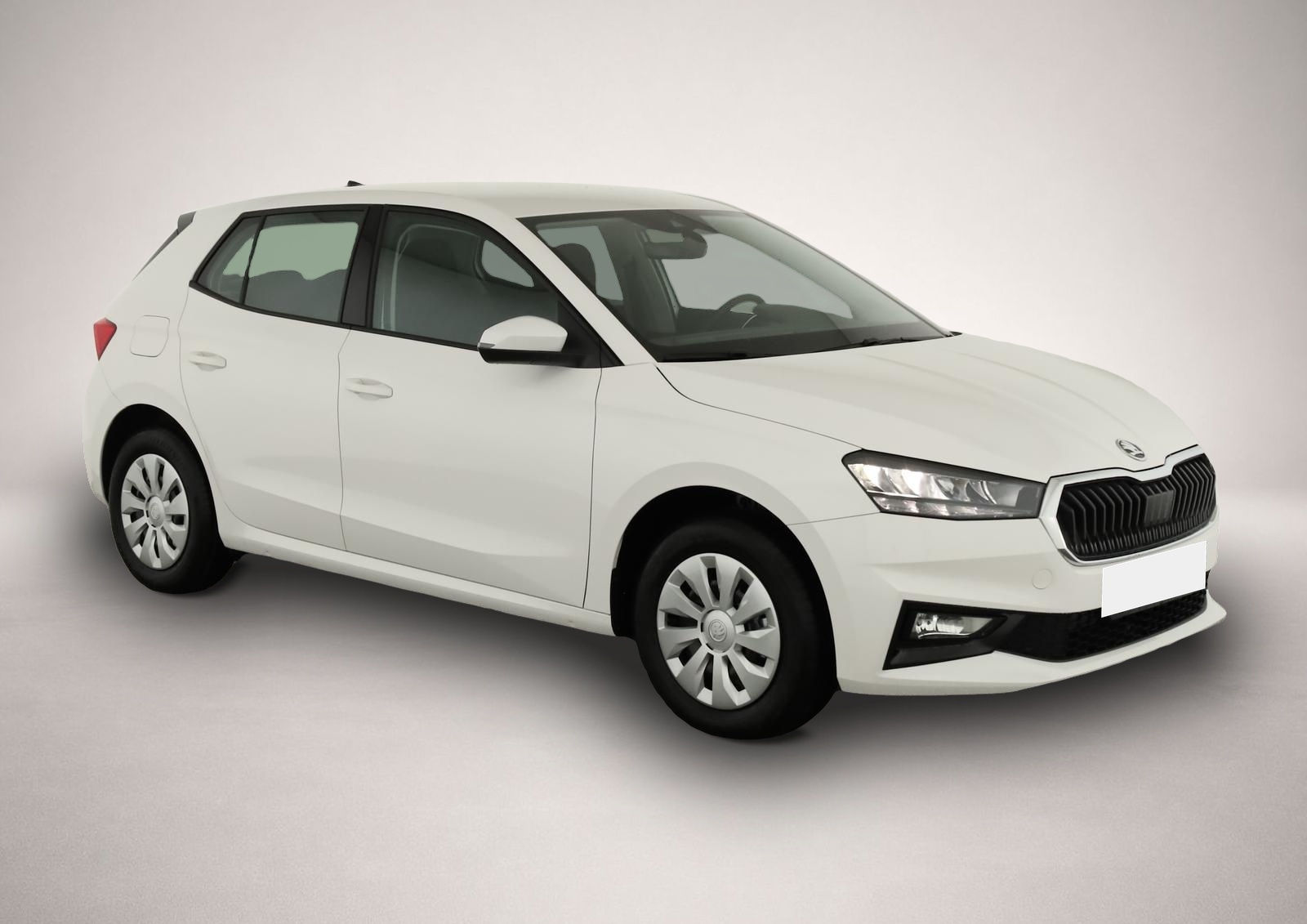 Bild 3 Skoda Fabia 1.0 TSI Selection, Ladeboden, Park, Winter