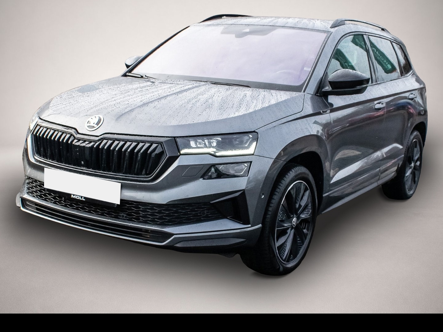 Bild Karoq Skoda