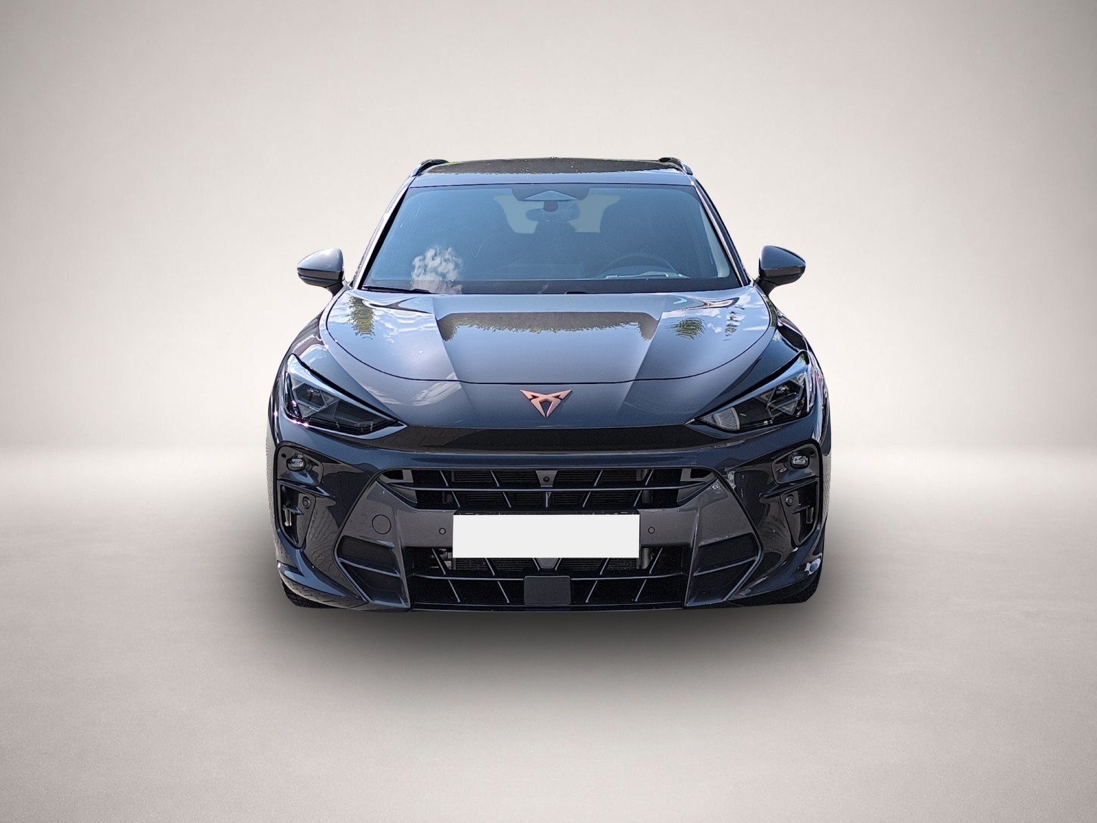 Fotografie 2 des Cupra Terramar 1.5 e-Hybrid DSG LED NAVI HUD ACC