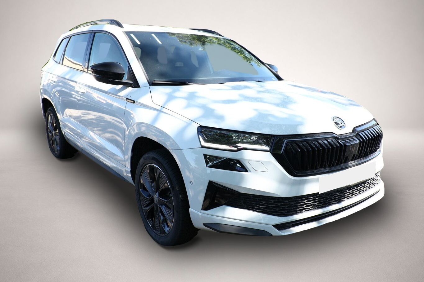 Bild 2 Skoda Karoq DSG Sportl Pano Matrix Nav 360° Canton ACC