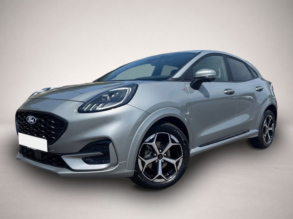 Bild Puma Ford
