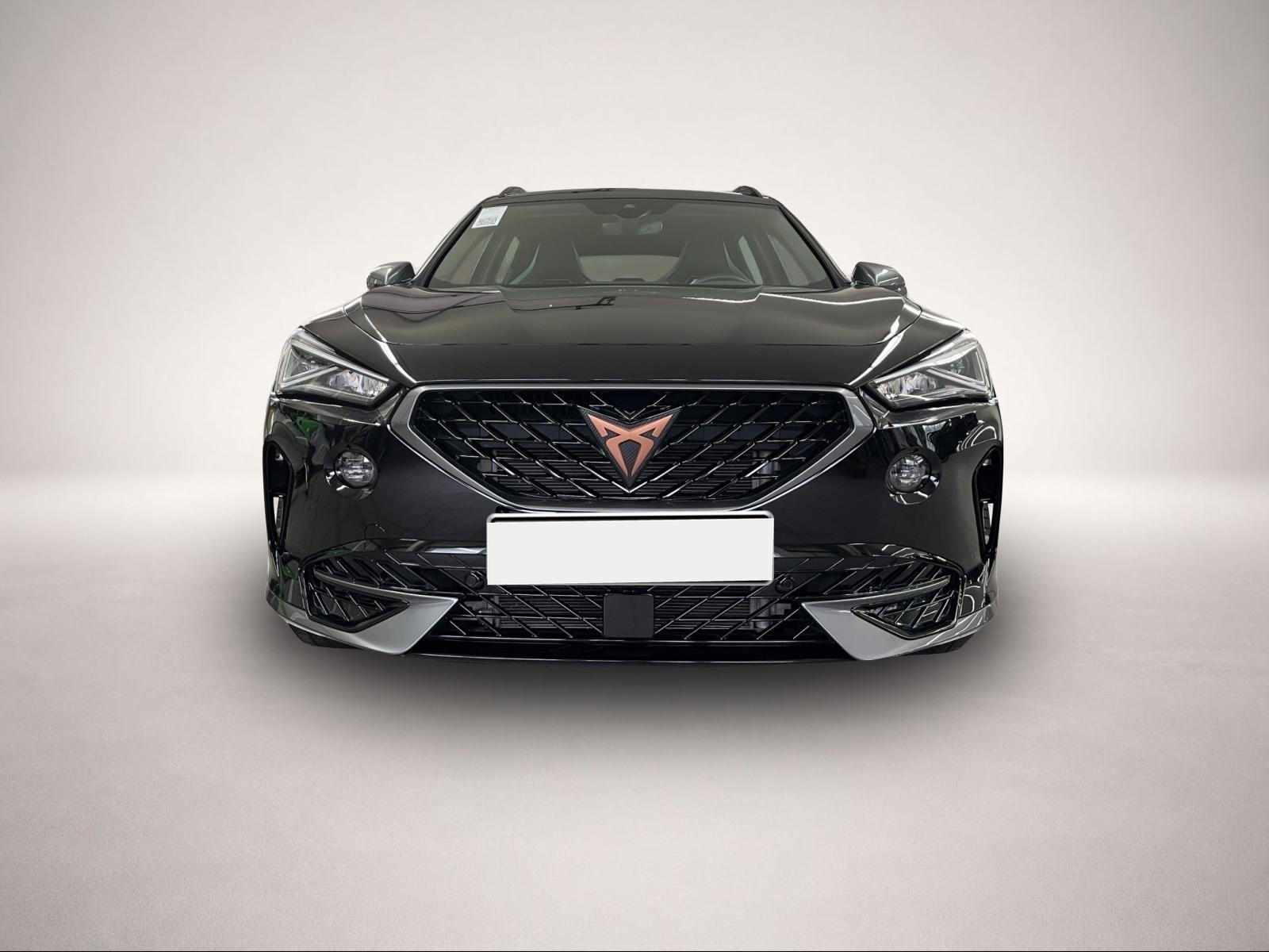 Bild 2 Cupra Formentor 1.5 TSI DSG NAVI REAR VIEW SHZ