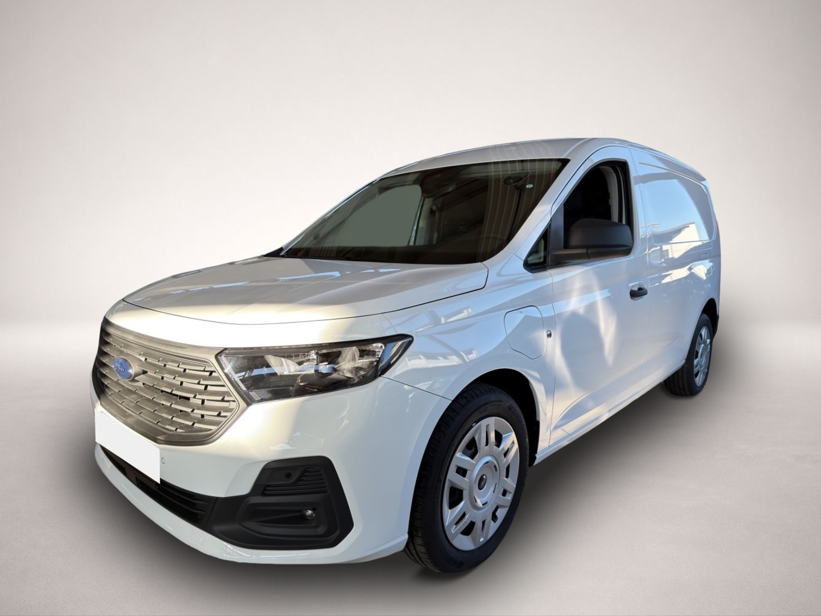 Ford Other