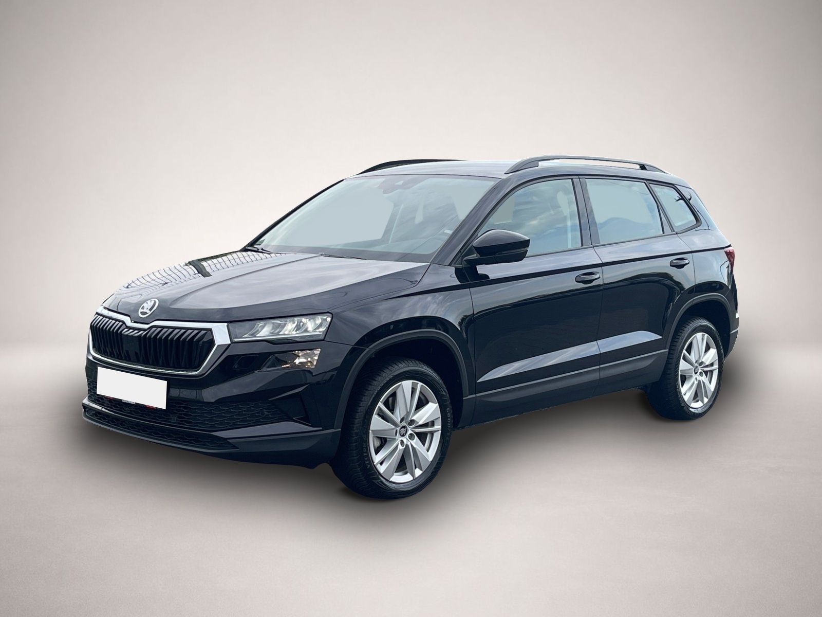 Bild 1 Skoda Karoq Selection TSI DSG|AHK|KAMERA|NAVI|WINTER-P