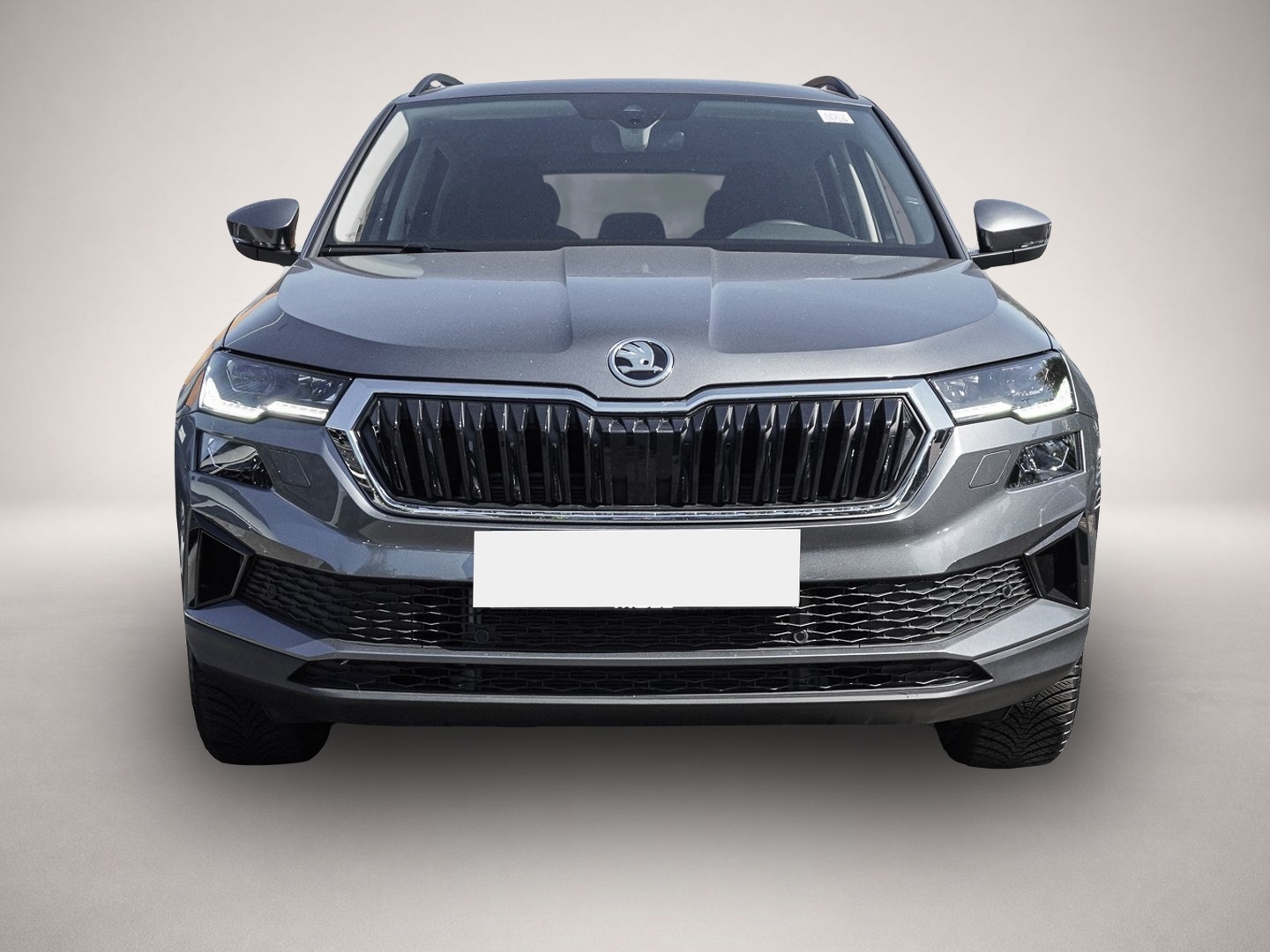 Bild 2 Skoda Karoq 2.0 TDI DSG SelectionTour