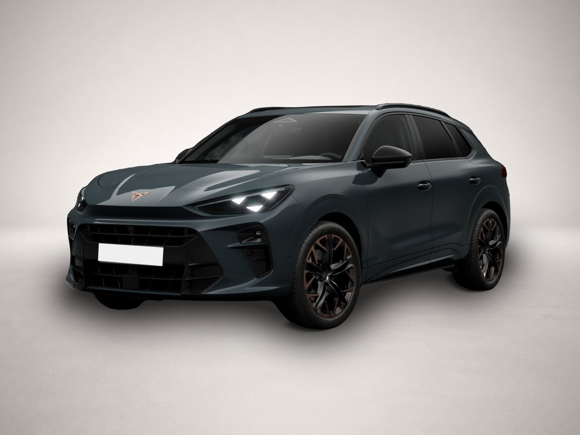 Bild Terramar Cupra