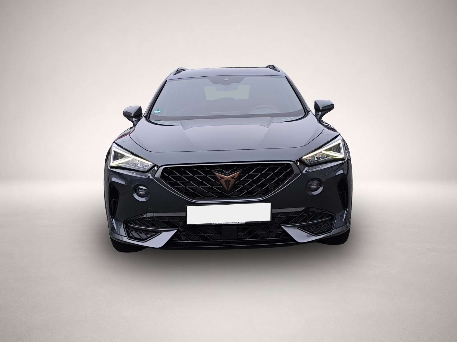 Bild 2 Cupra Formentor 1.4 e-Hybrid DSG LED NAVI RFK