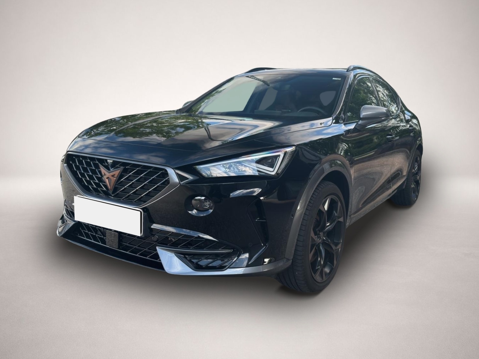 Fotografie Cupra Formentor 1.4 TSI DSG e-Hybrid VZ AHK PANO NAVI