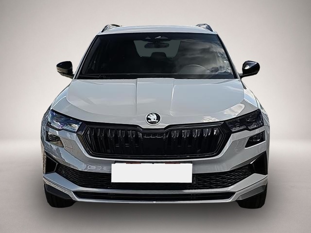 Bild Karoq Skoda