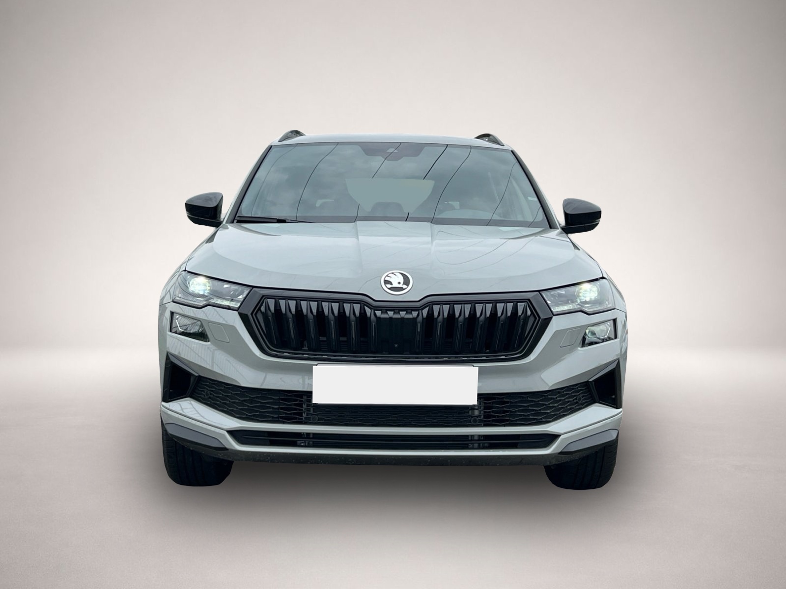 Bild 2 Skoda Karoq Sportline TSI DSG|AHK|360°|COLUMBUS|eHECK