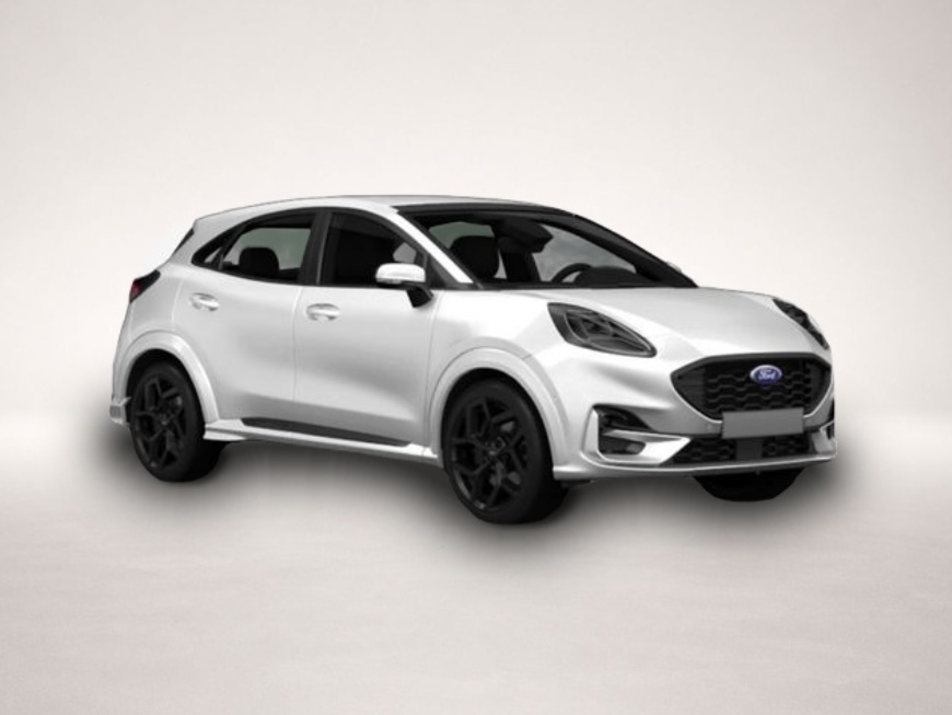 Bild Puma Ford